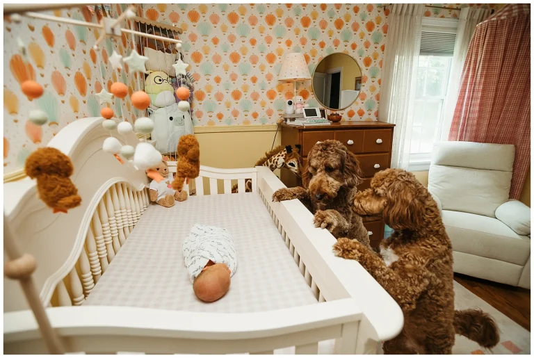 newborn photography richmond va