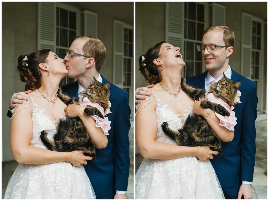 Cat wedding portraits with bride and groom