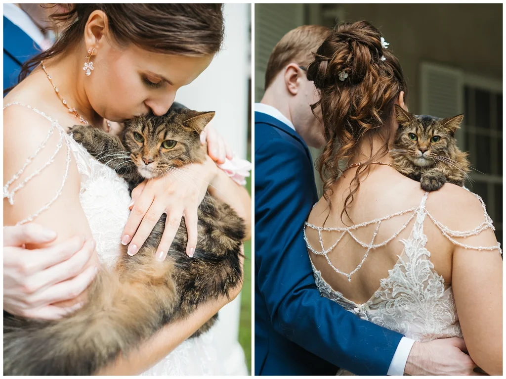 Pet friendly wedding